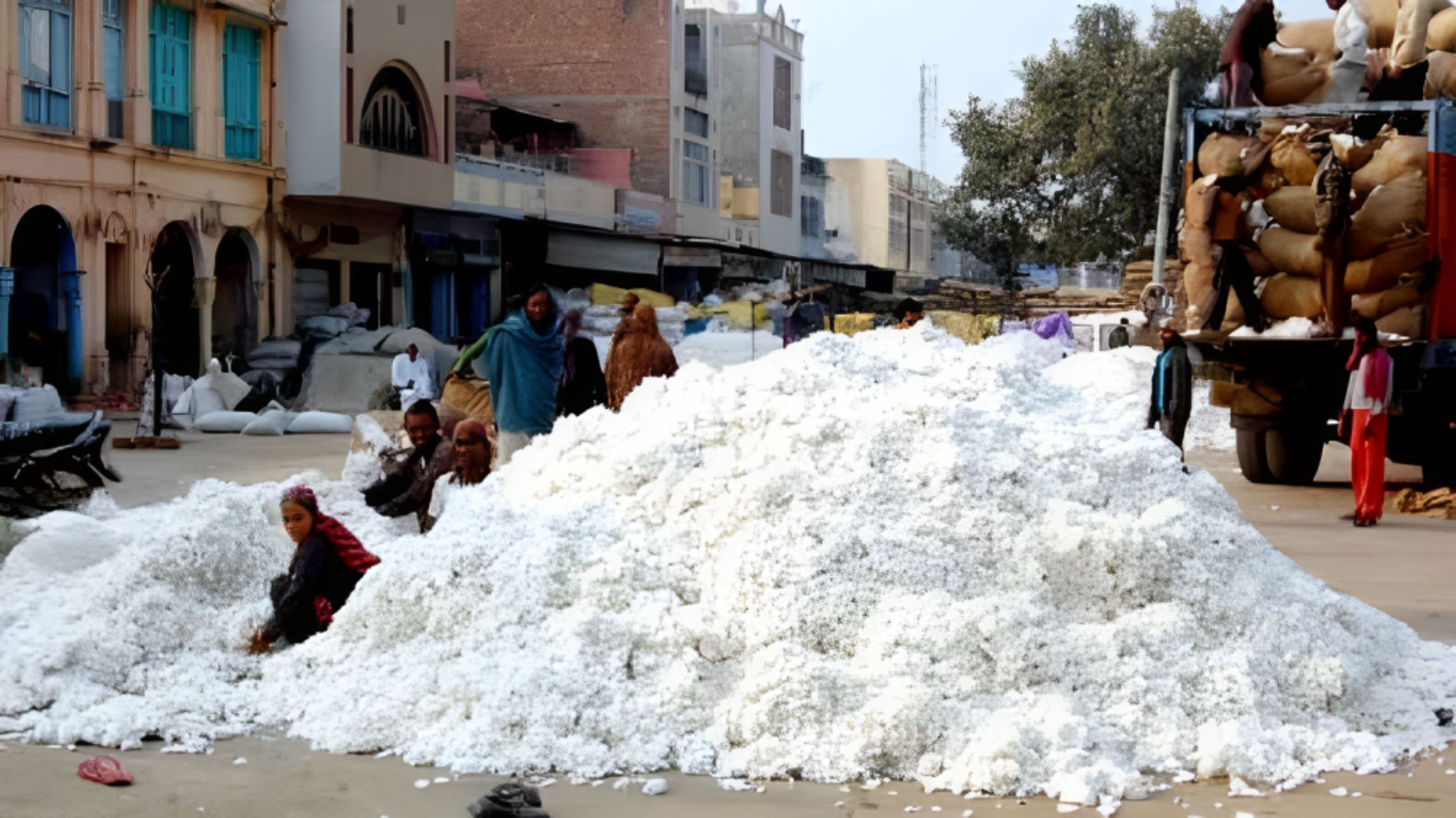 मंडी में कपास की आवक हुई कम, 7315 रहे मॉडल भाव