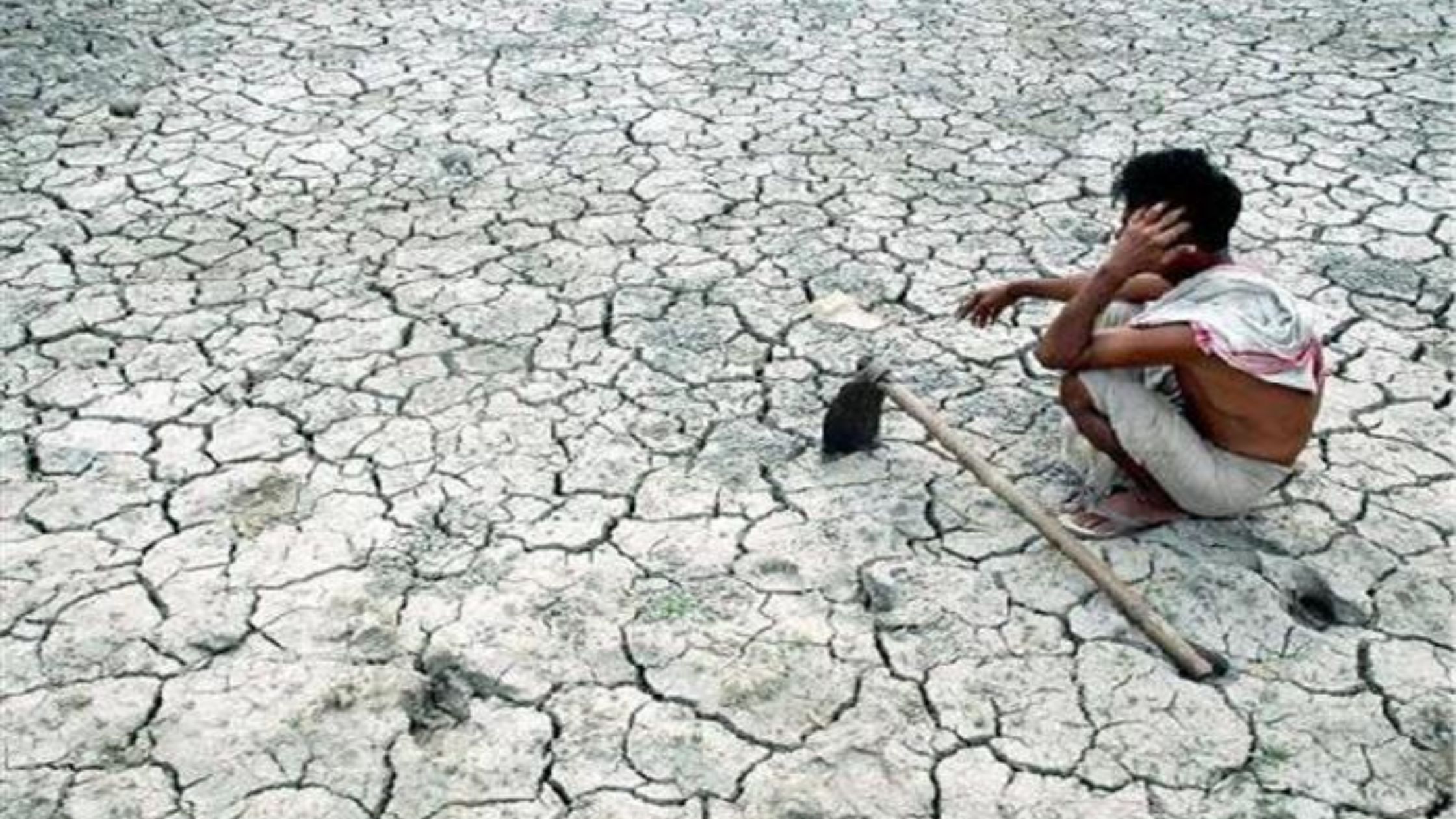 झारखंड के 17 जिलों के 158 प्रखंड सूखाग्रस्त घोषित सूखे से 15 लाख किसान प्रभावित 